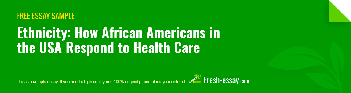 Free «Ethnicity: How African Americans in the USA Respond to Health Care» Essay Sample