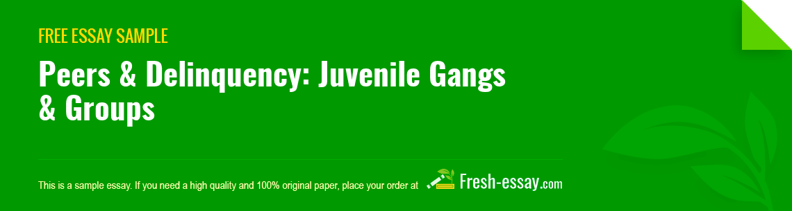 Free «Peers & Delinquency: Juvenile Gangs & Groups» Essay Sample