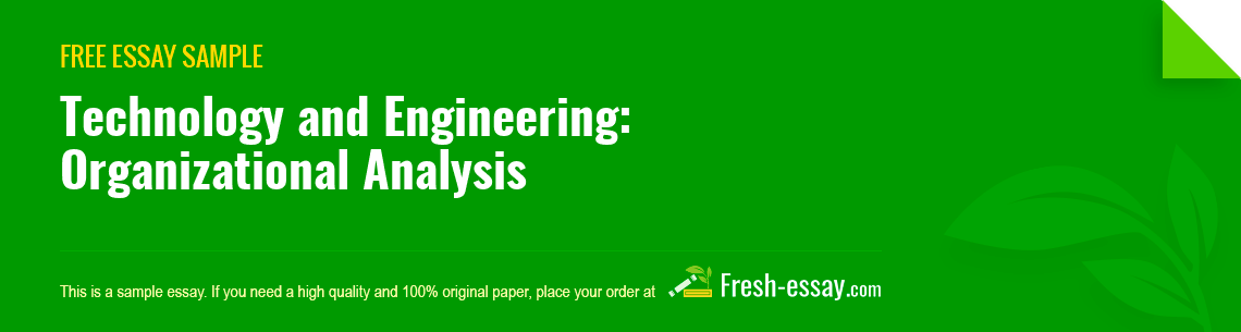 Free «Technology and Engineering: Organizational Analysis» Essay Sample
