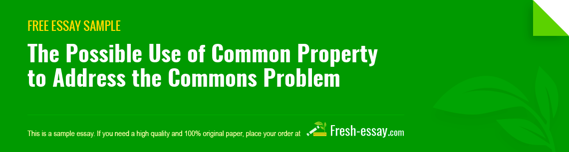 Free «The Possible Use of Common Property to Address the Commons Problem» Essay Sample