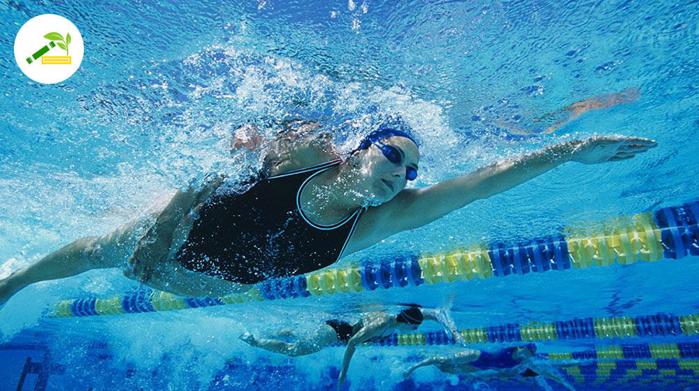 Here is Why You Should Swim More